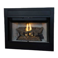 Superior Fireplaces VRT4542 Installation And Operation Instruction Manual