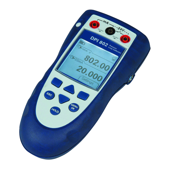 Druck DPI 841 User Manual