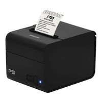 Custom Audio Electronics P3 User Manual