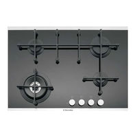 Electrolux EHGC97BS User Manual