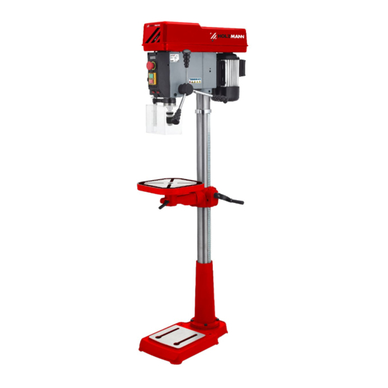 HOLZMANN MASCHINEN SB203V 230V User Manual