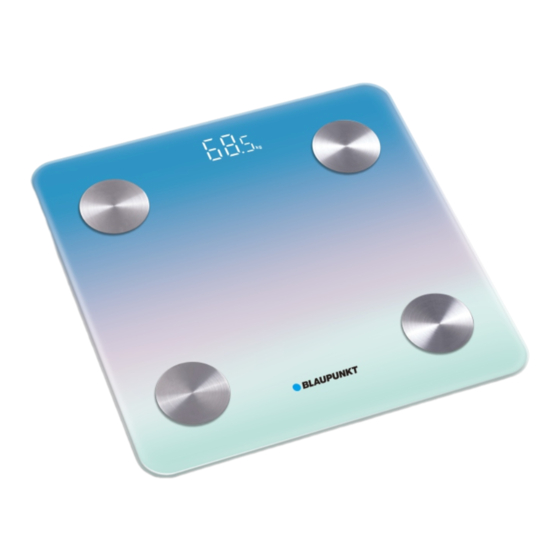 Blaupunkt BSM601BT Manual