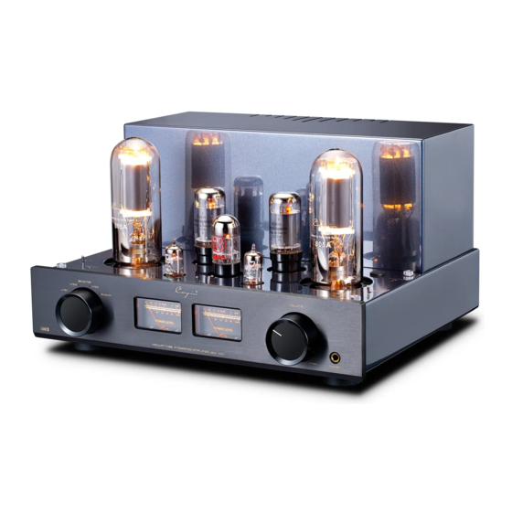 Cayin Jazz 100 User Manual