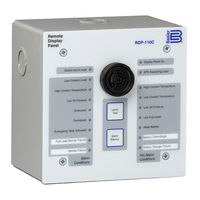 Basler RDP-110C Manual