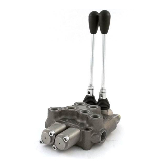 BLB hydraulic BM40 Series Instruction Manual
