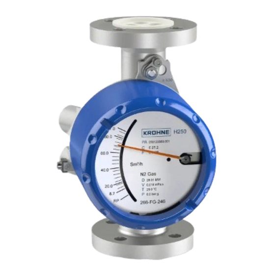 KROHNE H250 M40 ESK4-Basic Supplementary Instructions Supplementary Instructions
