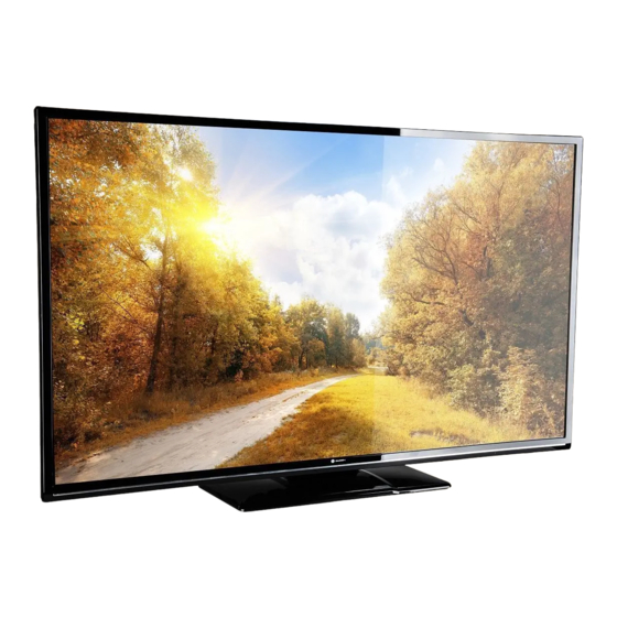 Gogen TVF49N525T Manual