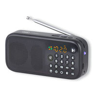 Trevi DR 7F40 BT User Manual