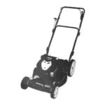 Briggs & Stratton BRUTE BTXP226750HW Quick Setup Manual