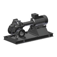 Flowserve WORTHINGTON 350LNN575 User Instructions