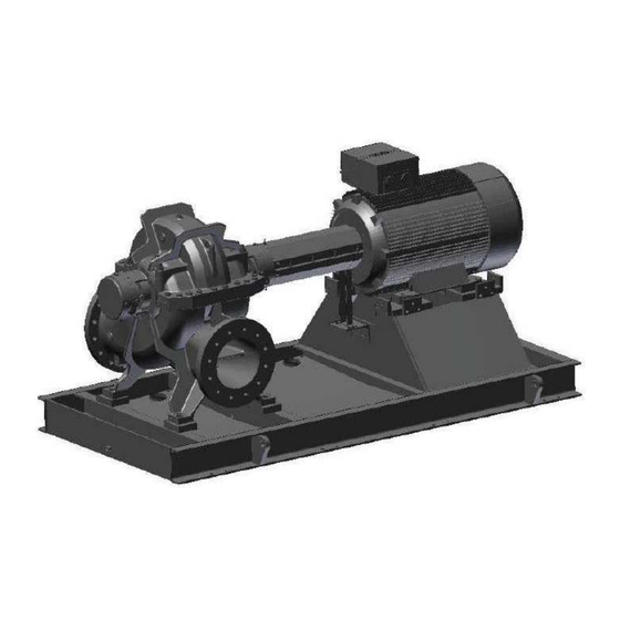 Flowserve WORTHINGTON 200LNN300 Manuals