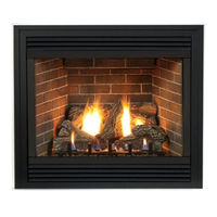 Empire Comfort Systems DVX36FP91N-2 Installation Instructions And Owner's Manual