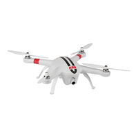 AEE Toruk AP10 Manual
