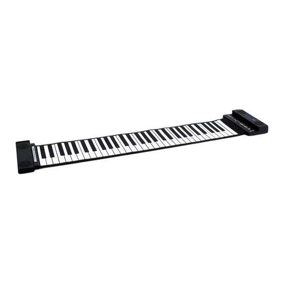 Schubert 10005701 Manual