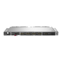 Hewlett Packard Enterprise Brocade 32Gb/12 2SFP+ User Manual
