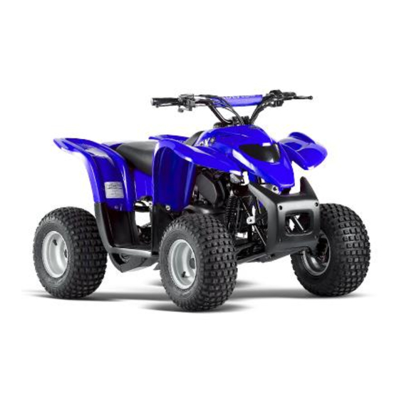 User Manuals: TYPHOON Adly 50 cc Offroad Vehicle