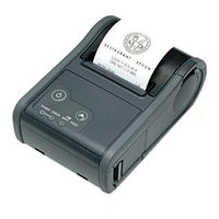 Epson Endeavor P60 User Manual
